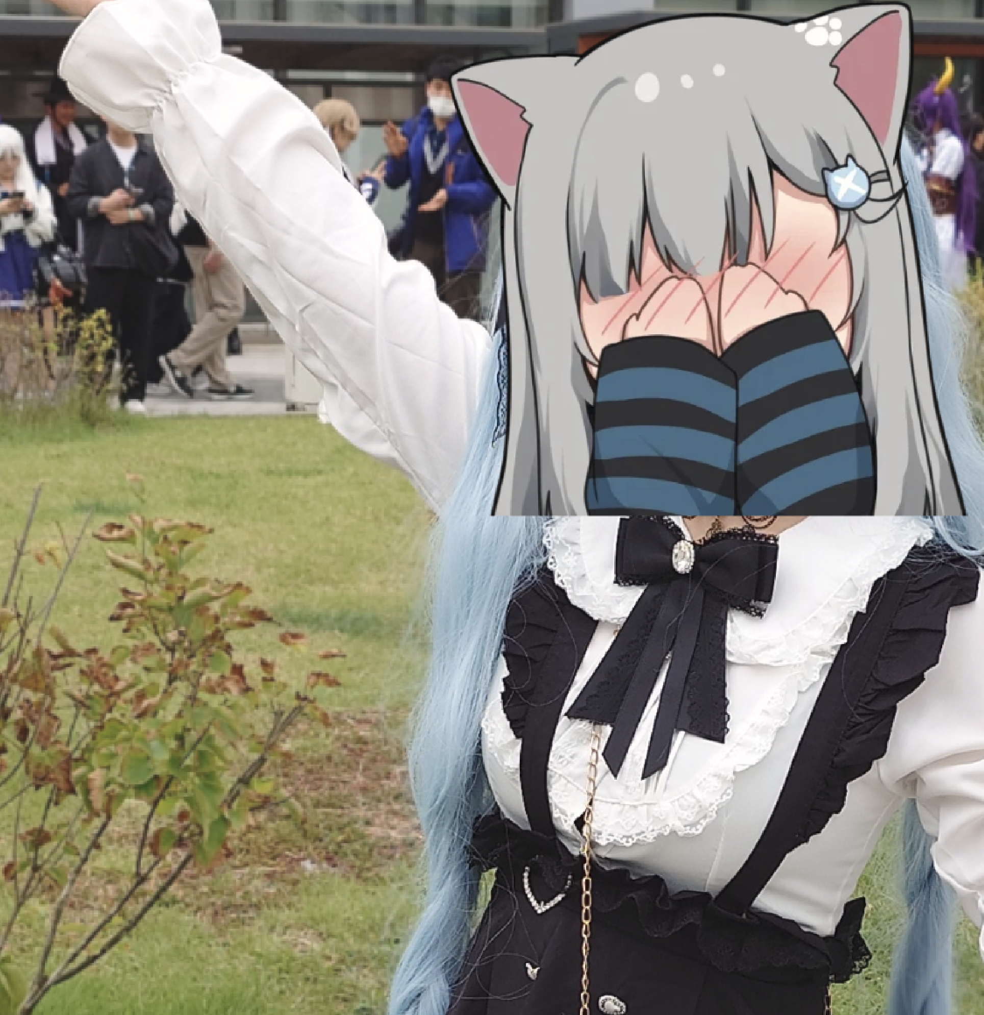 강제로 초점 맞추기 완료